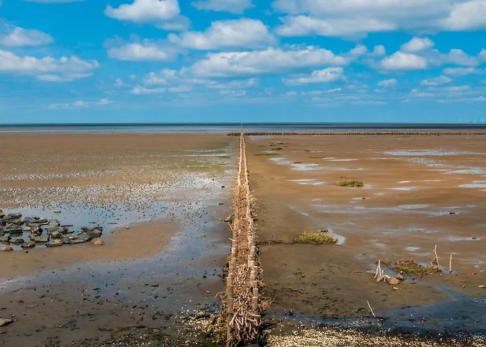 Sanfte Brise Iv * 다게불